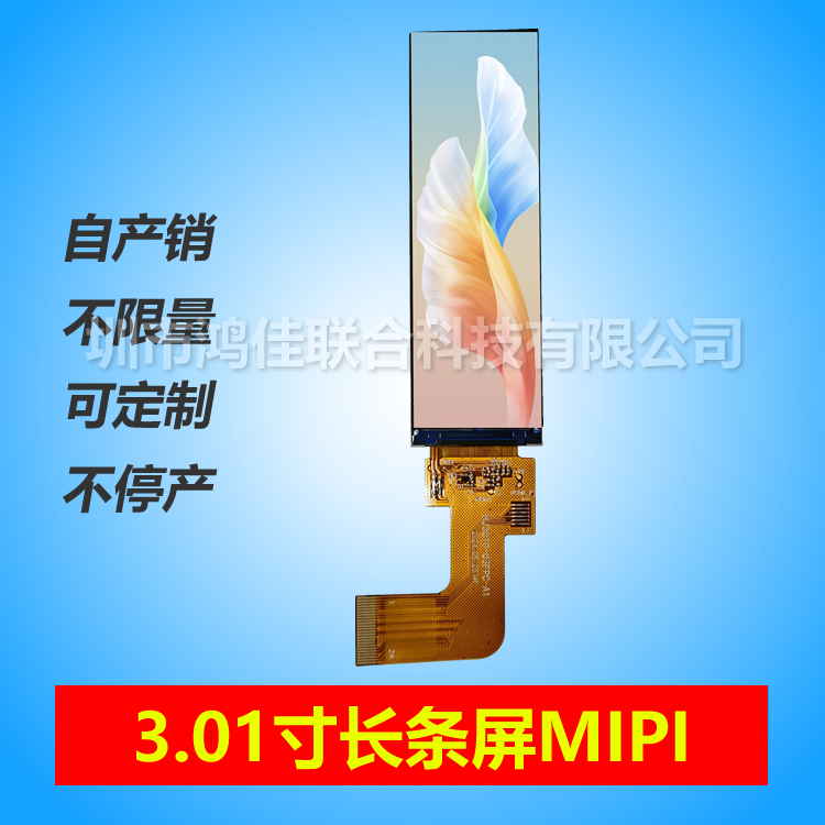 3.01���L�l��MIPI